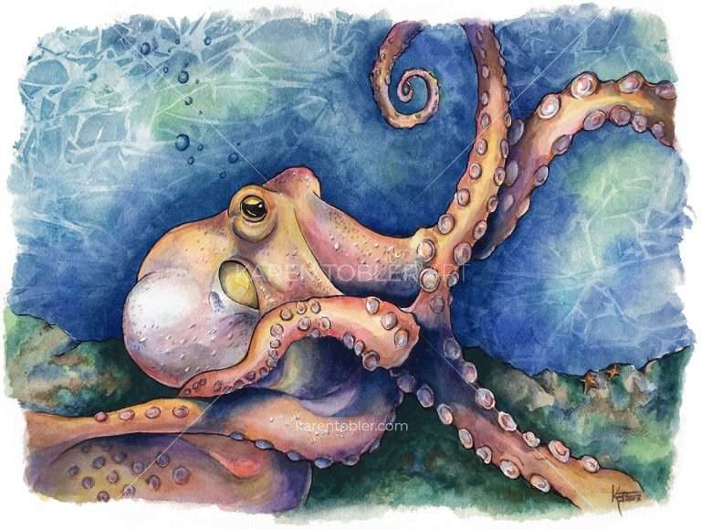 Octopus Lair – Karen Tobler – Watercolor Artist